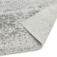 Nova Antique Grey NV10 Rug - 240cm x 340cm thumbnail 5