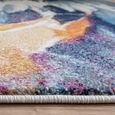 Nova Vista Multi Colour NV42 Rug - Sizes Available thumbnail 5