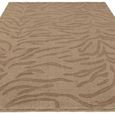 Tigra Mocha Brown Rug - Sizes Available thumbnail 4