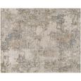 Arda Abstract Grey ACZ2303 Rug - Sizes Available