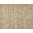 Penny Becki Owens Vintage Brown BOPE2303 Rug - Sizes Available