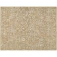 Penny Becki Owens Vintage Brown BOPE2309 Rug - Sizes Available
