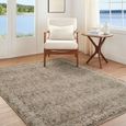 Arda Vintage Brown ACZ2312 Rug - Sizes Available thumbnail 2