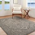 Arda Vintage Grey ACZ2306 Rug - Sizes Available thumbnail 2