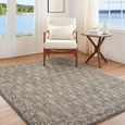 Arda Vintage Grey ACZ2309 Rug - Sizes Available thumbnail 2