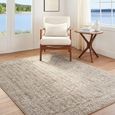 Arda Vintage Grey ACZ2310 Rug - Sizes Available thumbnail 2