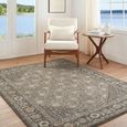 Arda Vintage Grey ACZ2314 Rug - Sizes Available thumbnail 2