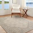 Arda Vintage Grey ACZ2315 Rug - Sizes Available thumbnail 2