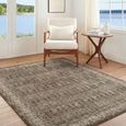 Arda Vintage Taupe ACZ2311 Rug - Sizes Available thumbnail 2