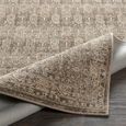 Arda Vintage Taupe ACZ2311 Rug - Sizes Available thumbnail 4