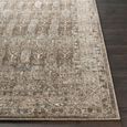 Arda Vintage Taupe ACZ2311 Rug - Sizes Available thumbnail 5