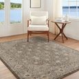 Arda Vintage Taupe ACZ2313 Rug - Sizes Available thumbnail 2