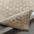 Arda Vintage Taupe ACZ2313 Rug - Sizes Available thumbnail 4