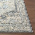 Avellino Vintage Blue Boho High Pile AVL2303 Rug - Sizes Available thumbnail 5