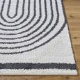 Birmingham Global Plush Black Soft Pile BMM2312 Rug - Sizes Available thumbnail 5