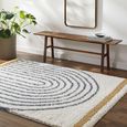 Birmingham Global Plush Blue Soft Pile BMM2313 Rug - Sizes Available thumbnail 2