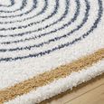 Birmingham Global Plush Blue Soft Pile BMM2313 Rug - Sizes Available thumbnail 3