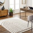 Birmingham Global Plush Cream Soft Pile BMM2315 Rug - Sizes Available thumbnail 2