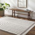 Birmingham Global Plush Grey Soft Pile BMM2314 Rug - Sizes Available thumbnail 2