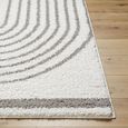 Birmingham Global Plush Grey Soft Pile BMM2314 Rug - Sizes Available thumbnail 5