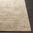 Penny Becki Owens Vintage Brown BOPE2300 Rug - Sizes Available thumbnail 5
