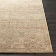 Penny Becki Owens Vintage Brown BOPE2303 Rug - Sizes Available thumbnail 5