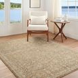 Penny Becki Owens Vintage Brown BOPE2304 Rug - Sizes Available thumbnail 2