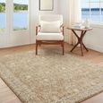 Penny Becki Owens Vintage Brown BOPE2306 Rug - Sizes Available thumbnail 2