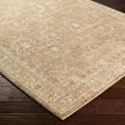 Penny Becki Owens Vintage Brown BOPE2306 Rug - Sizes Available thumbnail 3