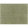 Cloudy Shaggy Green CDG2322 Rug - Sizes Available