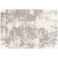 Cloudy Shaggy Ivory CDG2318 Rug - Sizes Available
