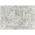 Dresden Abstract Grey DRE2302 Rug - Sizes Available