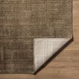 Alba Graphic Brown EDAL2306 Rug - Sizes Available thumbnail 4