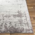 Chester Abstract Grey CHE2340 Rug - Sizes Available thumbnail 5