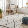 Cloudy Shaggy Ivory CDG2317 Rug - 200cm x 275cm thumbnail 2
