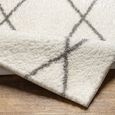 Cloudy Shaggy Ivory CDG2317 Rug - 200cm x 275cm thumbnail 4
