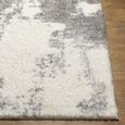 Cloudy Shaggy Ivory CDG2318 Rug - Sizes Available thumbnail 5