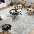 Dresden Vintage Grey DRE2324 Rug - Sizes Available thumbnail 2