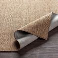 Eagean Global Brown EAG2412 Rug - Sizes Available thumbnail 4
