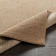 Eagean Global Brown EAG2416 Rug - Sizes Available thumbnail 4