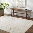 Freud Brown High Pile FEU2308 Rug - Sizes Available thumbnail 2