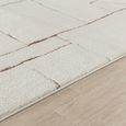 Freud Brown High Pile FEU2308 Rug - Sizes Available thumbnail 3