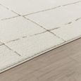 Freud Brown High Pile FEU2310 Rug - Sizes Available thumbnail 3