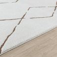 Freud Brown High Pile FEU2323 Rug - Sizes Available thumbnail 3