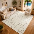 Freud Brown High Pile FEU2330 Rug - Sizes Available thumbnail 2