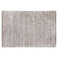 Lexy Natural Carpet - 200cm x 300cm