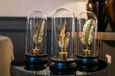 Glass Feather in a Bottle - Black and Gold - 2
