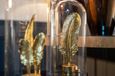 Glass Feather in a Bottle - Black and Gold - 2