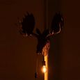 Reindeer Wall Lamp - Copper - Polyresin