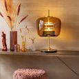 LED Table Lamp - Brown - Glass